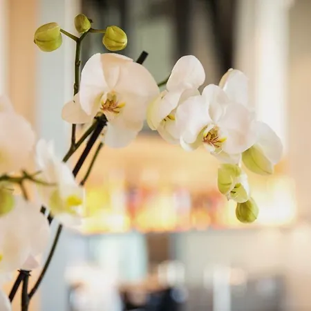 Heuboden Heu.loft Freiburg 4* أومكيرش